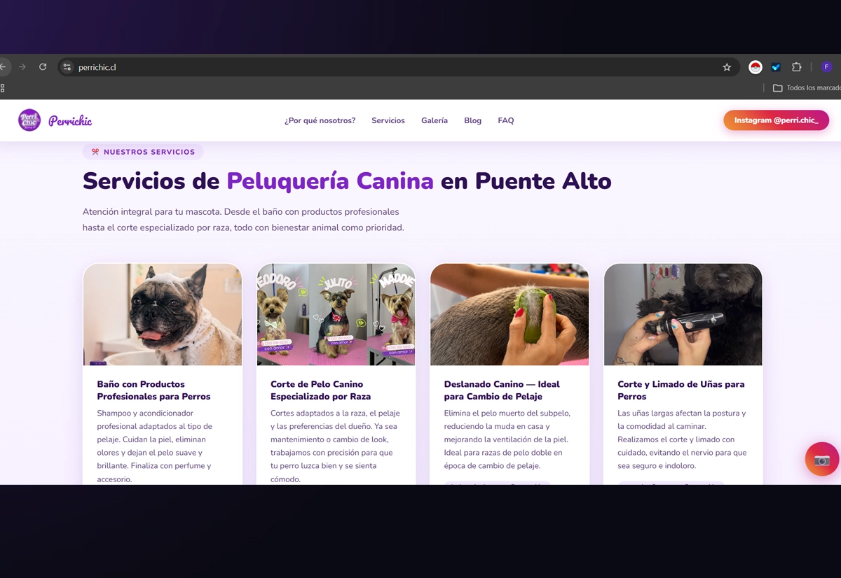 Sitio web de Perrichic, peluquería canina en Puente Alto, diseñado por Pupila Marketera
