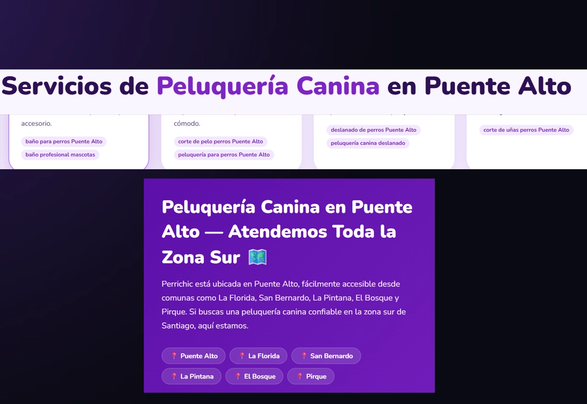 Resultados de búsqueda locales donde aparece Perrichic, peluquería canina en Puente Alto