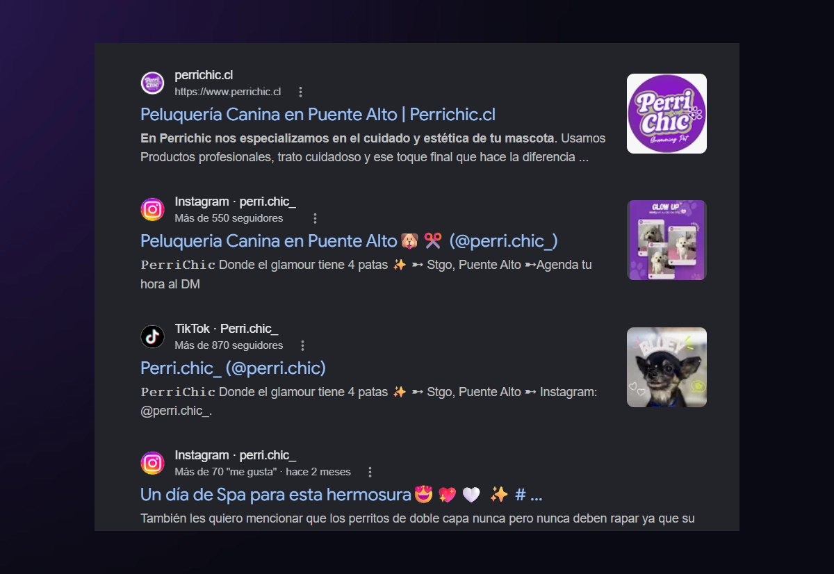 Identidad visual de Perrichic aplicada de forma consistente en web, Google e Instagram